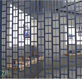 applestoregigliven16