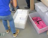 applestorecataniaopen07