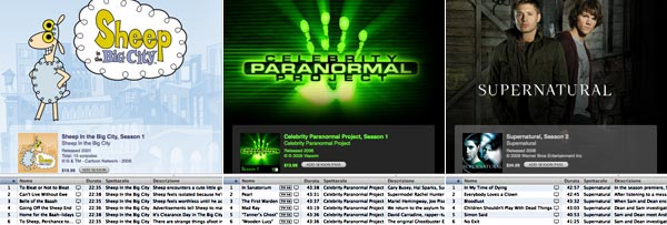 01295g_sheepcelebrsuper