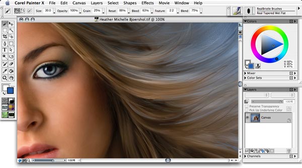 01550b_corelpainterx