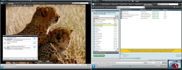 02092c_realplayer11 02092c_realplayer11