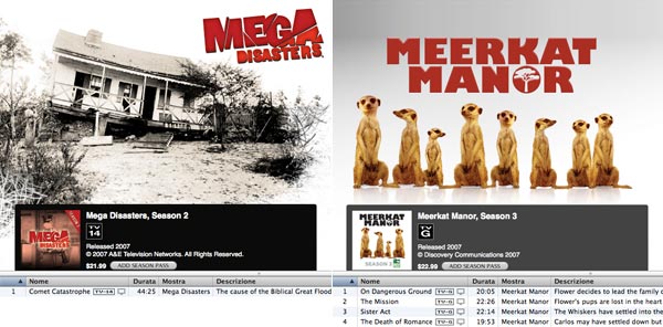 02606h_disastersmeerkat