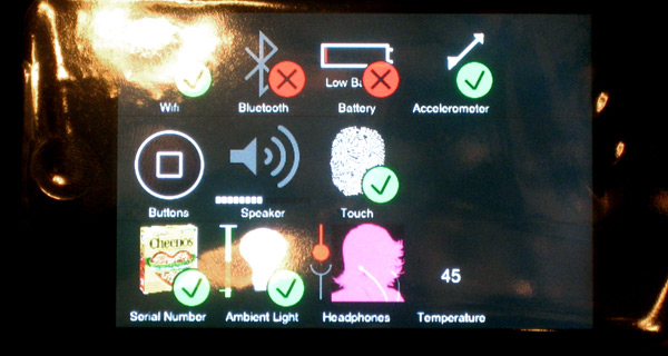 02647c_ipodtouchdiagnostic