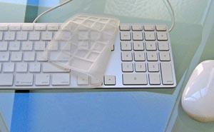 02919b_carapacecover