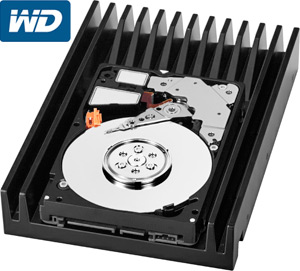 03824b_velociraptor300