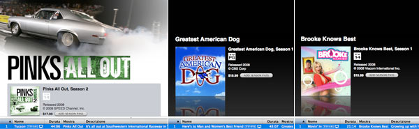 04337d_pinksgreatestdogbrooke 04337d_pinksgreatestdogbrooke