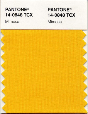 05285b_pantonemimosa2009