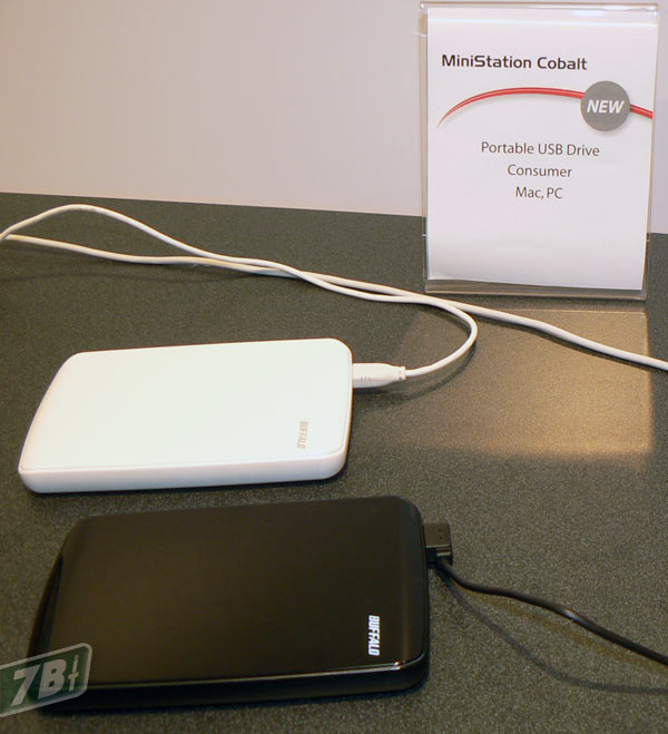 05667b_buffaloministation