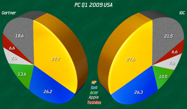 06141b_pc2009q1usa 06141b_pc2009q1usa