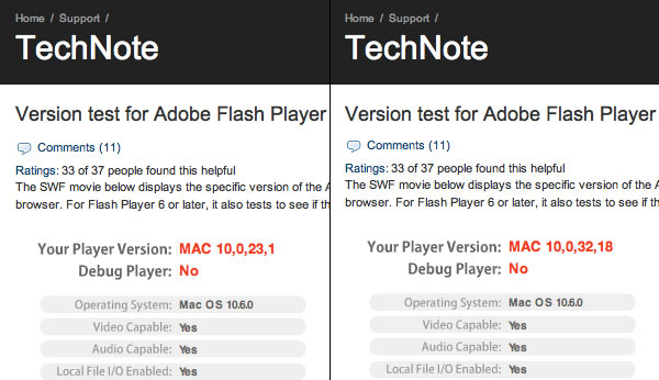 07150b_flashsnowleopard