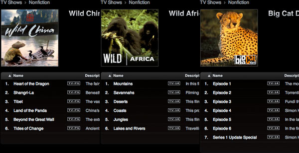 07604f_wchinawafricabigcatd