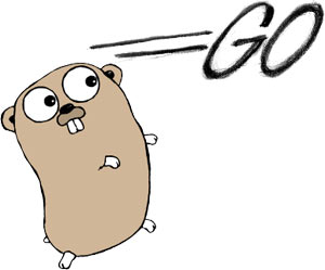 07634b_golanguagegoogle