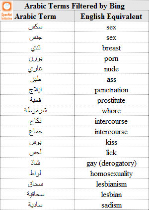 10-08367b_terminiarabivietati