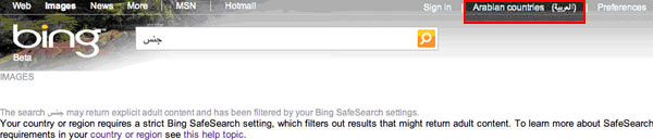 10-08367c_censurabingpaesiarabi 10-08367c_censurabingpaesiarabi