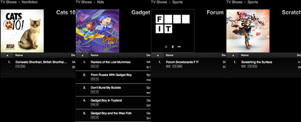 38-09749m_cats101gadgetboyfitdcratchingsurf