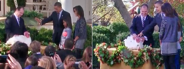 47-10115c_thanksgiving2010apple