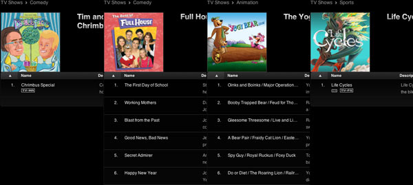 49-10202f_timericfullhyogilifecycles